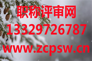 河北省人才交流服务中心职称评审申报推荐程序（2021版）